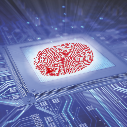 DRAM fingerprint image